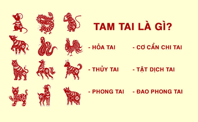 Tam Tai Là Như Nào? Tìm Hiểu Chi Tiết và Hướng Dẫn Hóa Giải